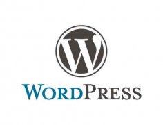 网站建站系统WordPress简介